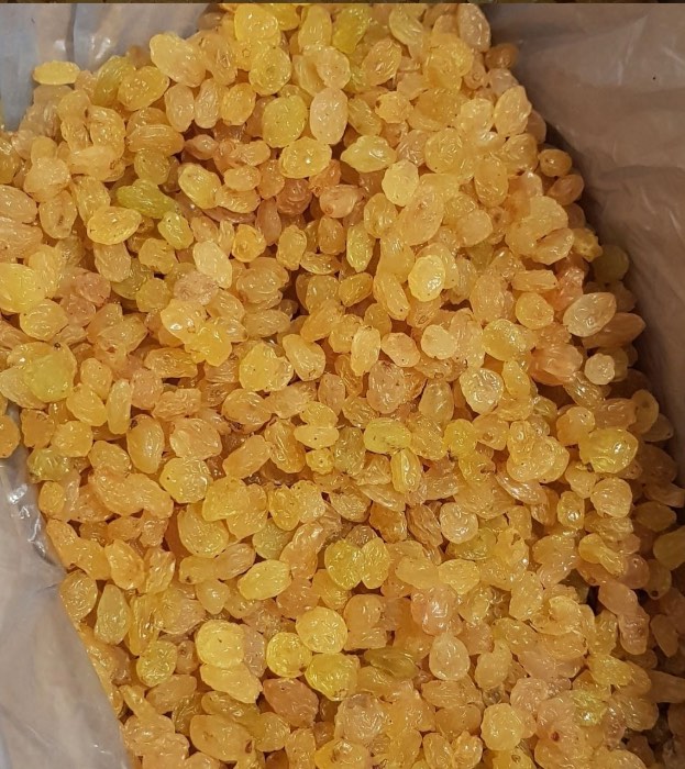 طلایی
